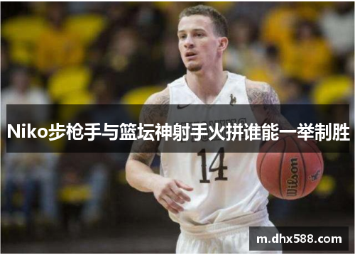 Niko步枪手与篮坛神射手火拼谁能一举制胜